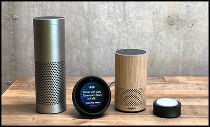 Solution: The smart speaker loses money Why the technology giant is still vying for investment